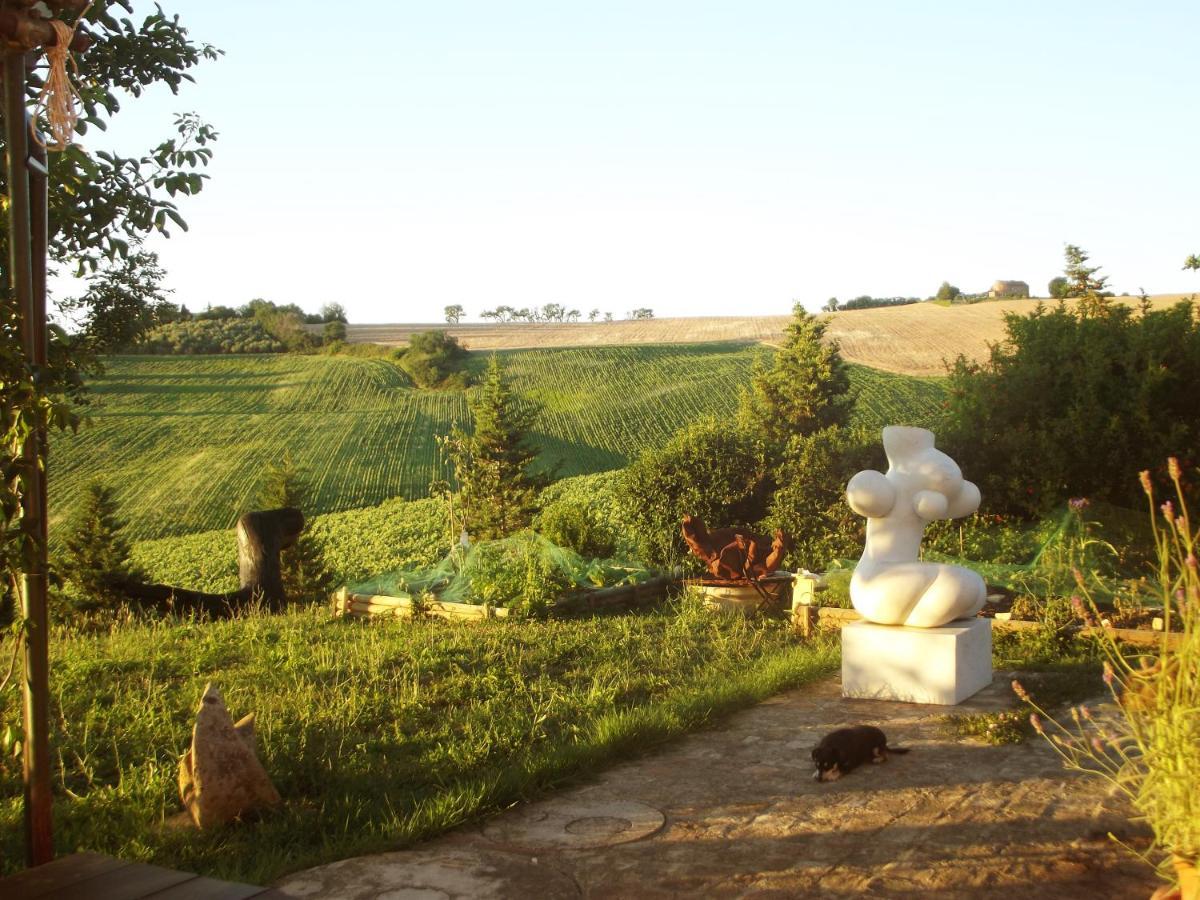 "La Casa Degli Ulivi Art B&B" Trecastelli Zewnętrze zdjęcie