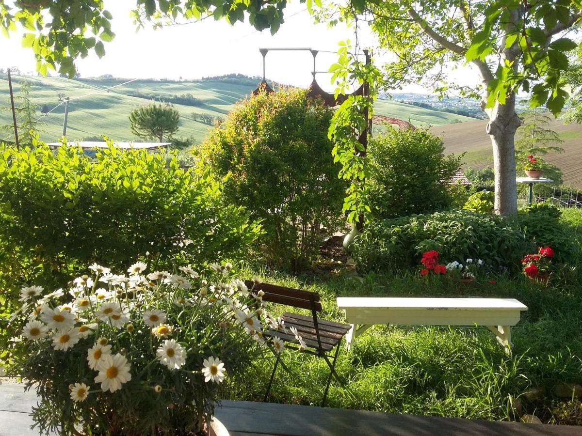 "La Casa Degli Ulivi Art B&B" Trecastelli Zewnętrze zdjęcie