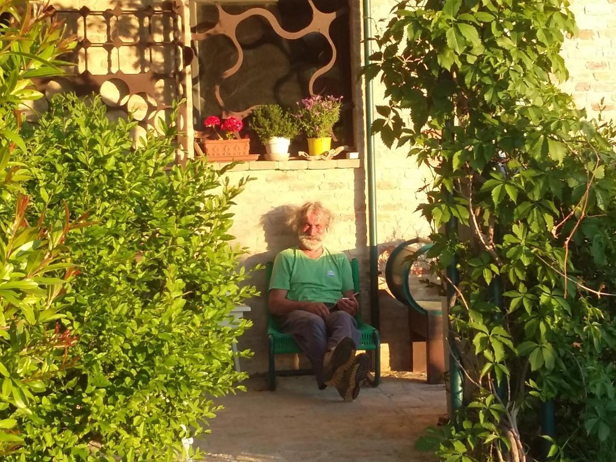 "La Casa Degli Ulivi Art B&B" Trecastelli Zewnętrze zdjęcie